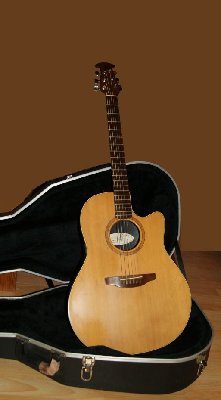 Ovation S861 G.jpg