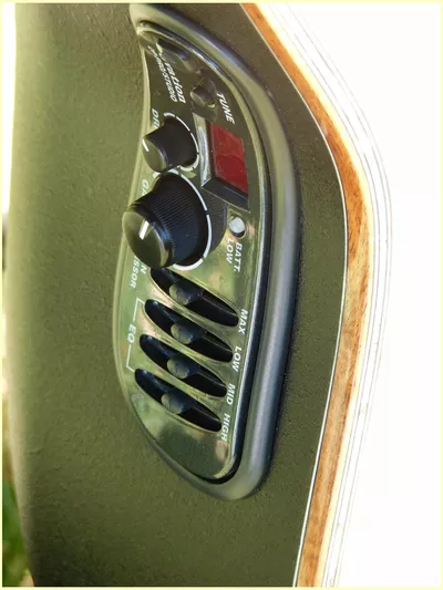 Image 8