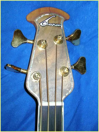 Image 5