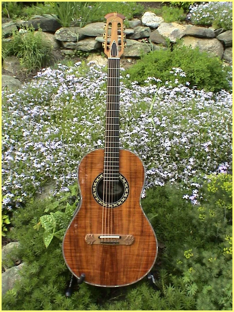 Ovation Collector's 1997 Rebuilt in 2009