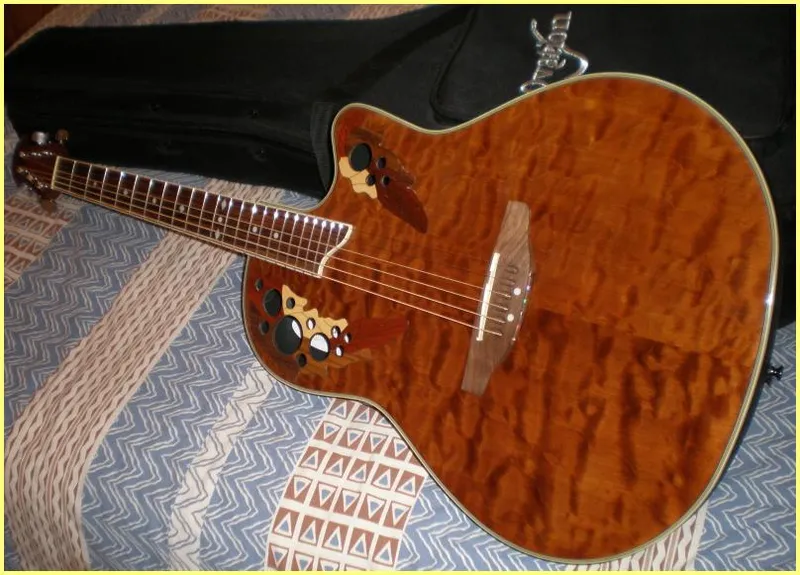 Celebrity CS 247 NQM 01