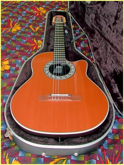 Image 4