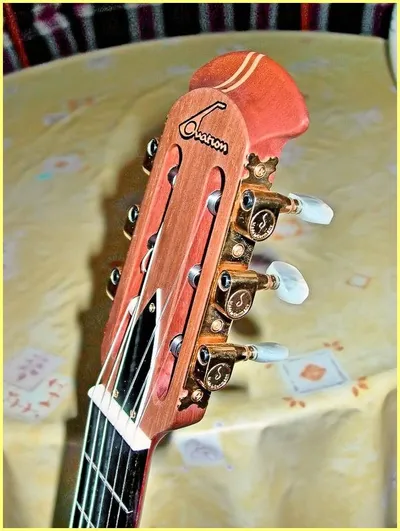 Image 7