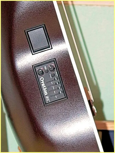 Image 8