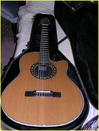 Image 8