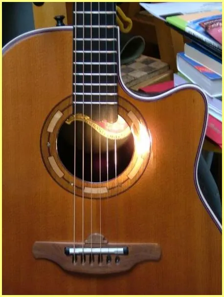 Ovation 1995 Collector's