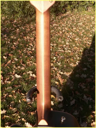 Image 8