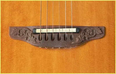 Image 13