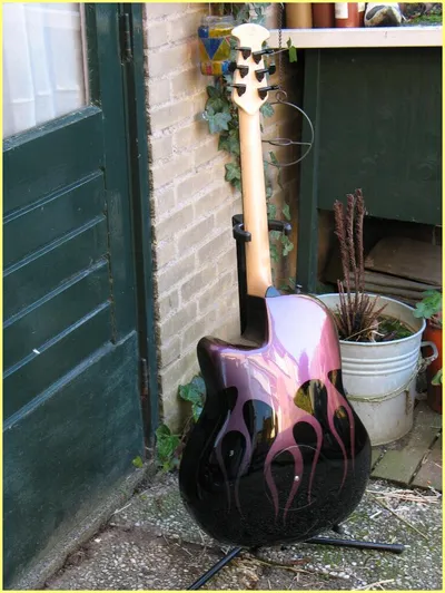 Image 4