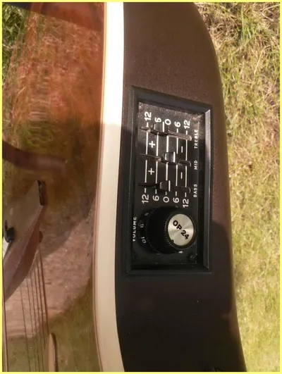 Image 8