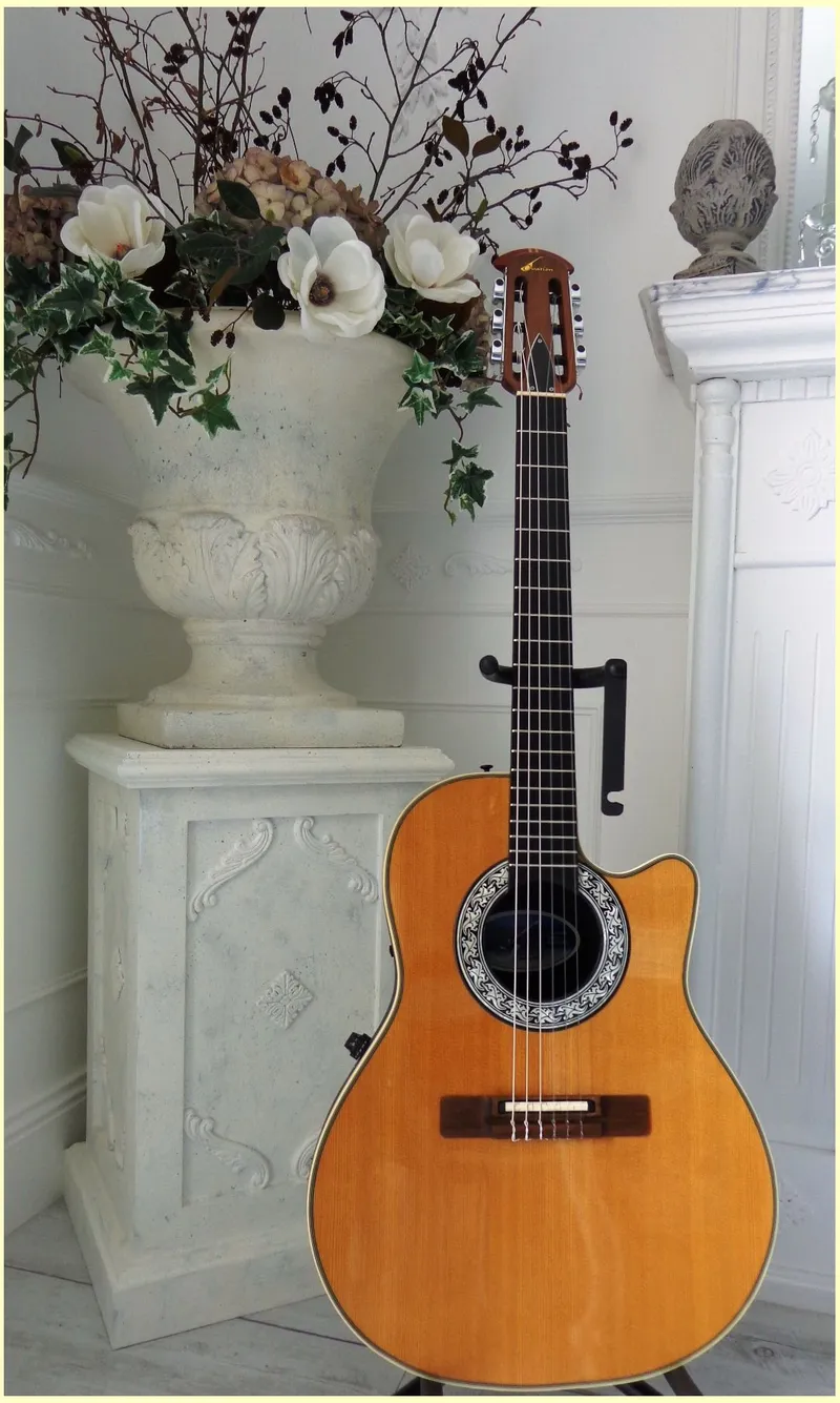 1674 4 Country Artist 02 01