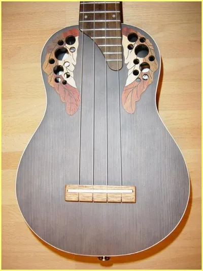 Image 4