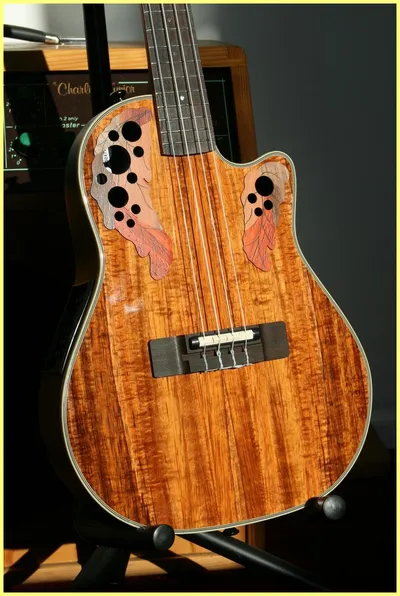 Image 3