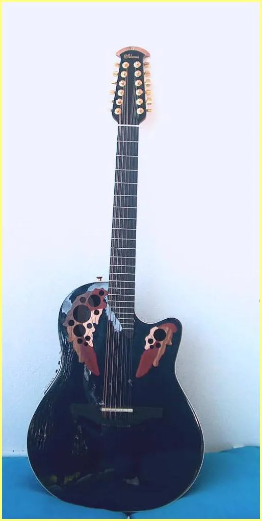 Adamas W-598 12 Strings
