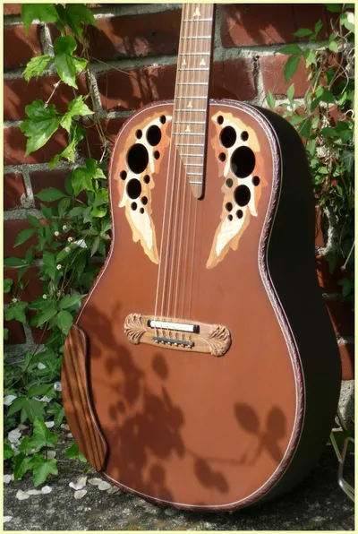 Image 7