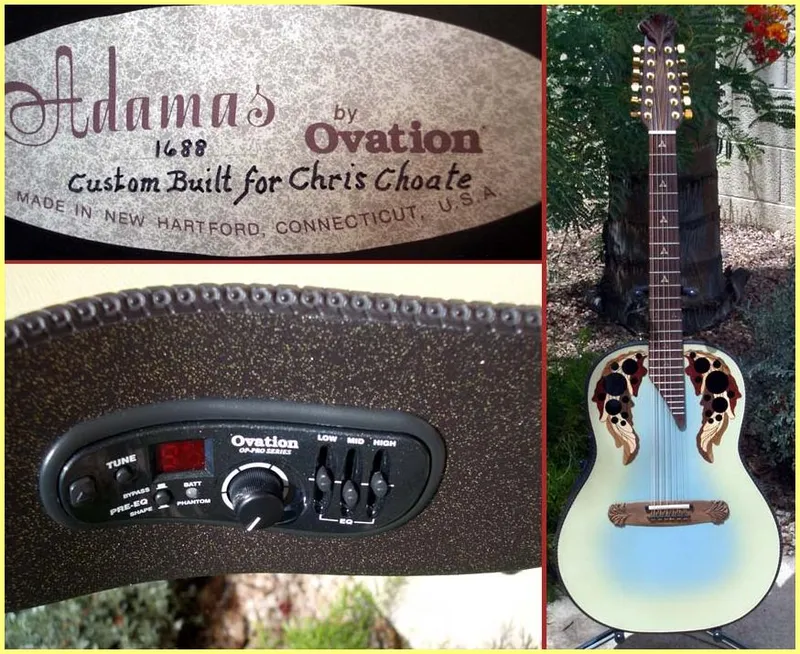 Adamas 1688 12 Strings Custom Order