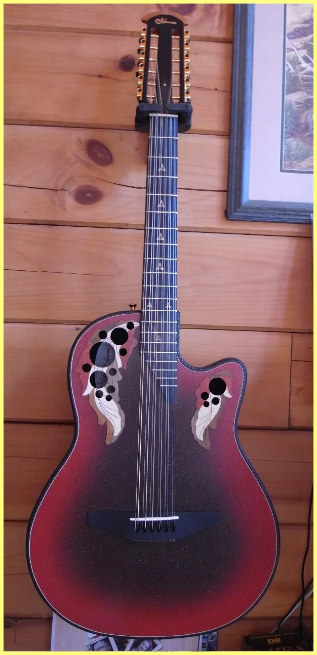 Adamas Custom 12 String