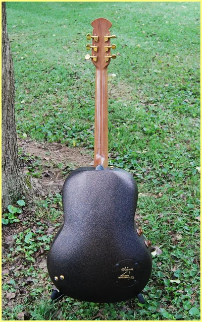 Image 7