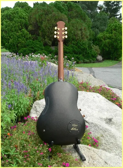 Image 12