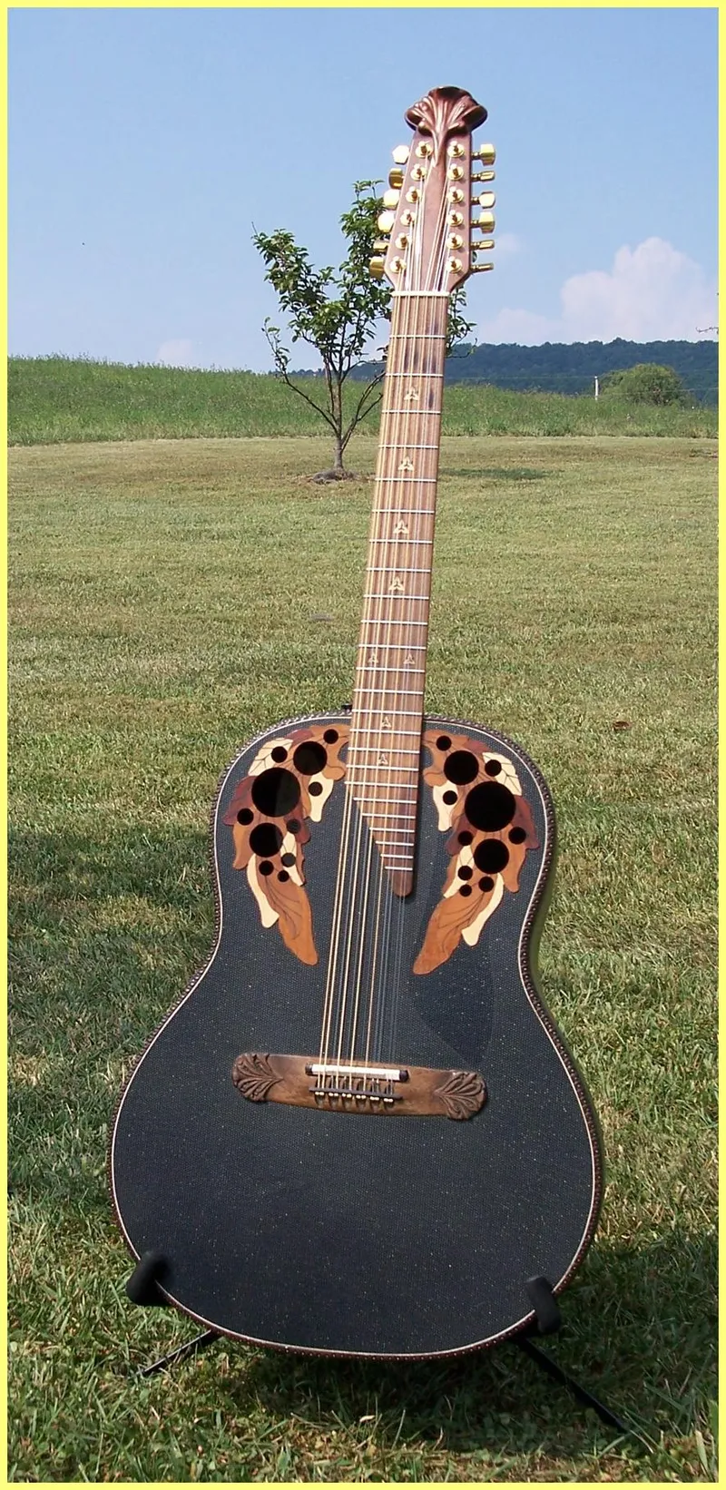 Adamas I 1688-5 12 String