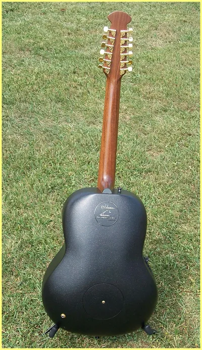 Image 4