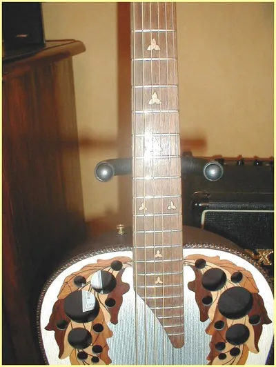 Image 7