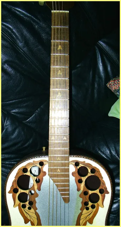 Image 8