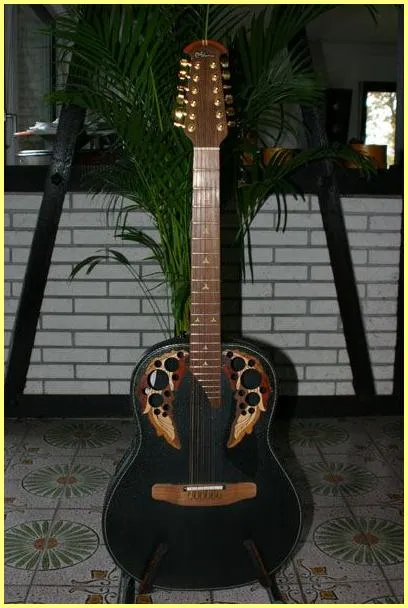 Adamas II 1685-5 12 Strings