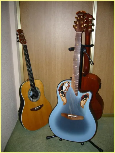 Image 8