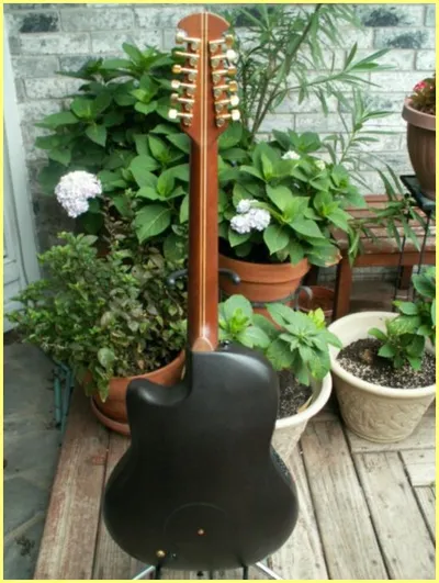 Image 7