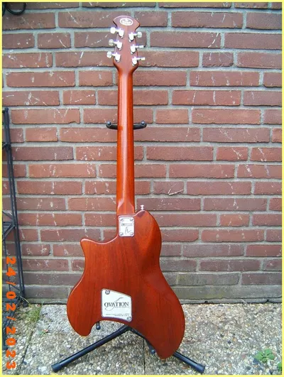 Image 6