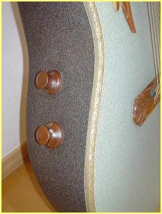 Image 20