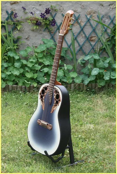 Image 8