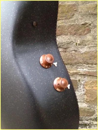 Image 17