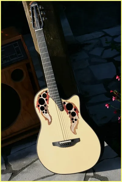 Image 4