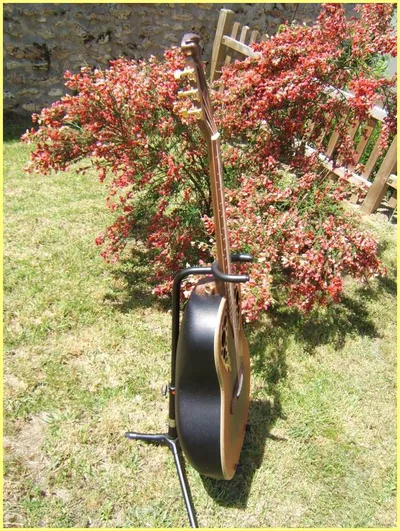 Image 8
