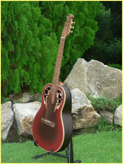 Image 21