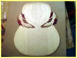 Image 5