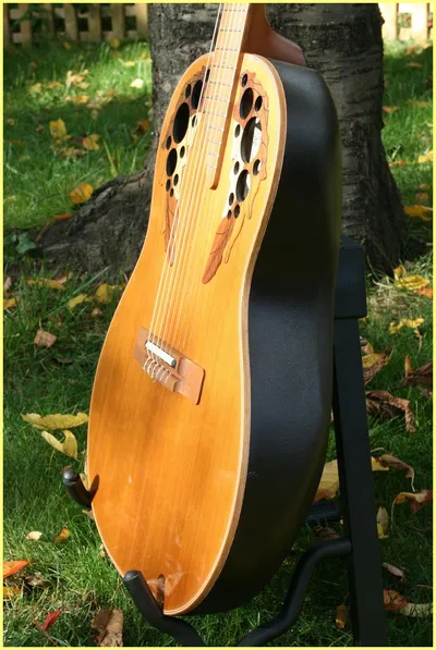 Image 4