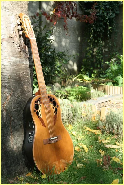 Image 12