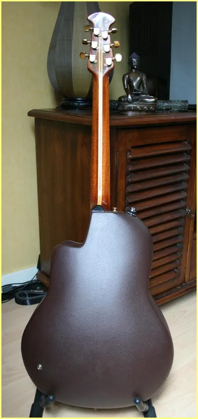 Image 6