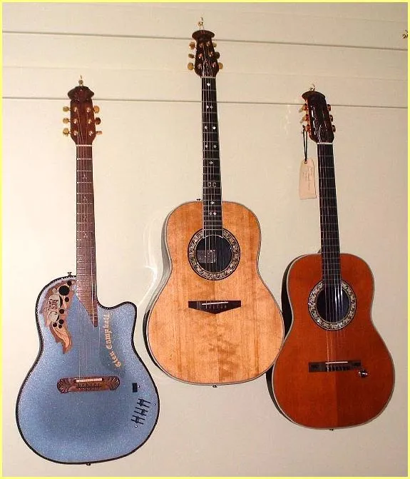 Wayne Reid G.Campbell's Guitars Collection