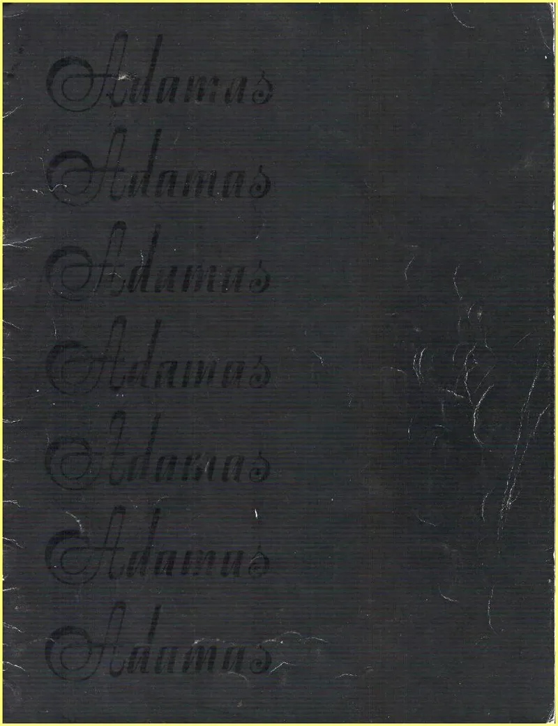 Ovation Adamas Guitar Catalog 1984