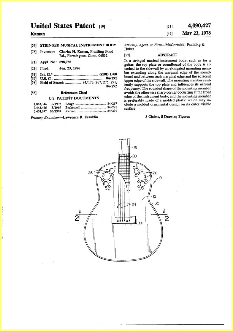 Stringed Musical Instrument Body