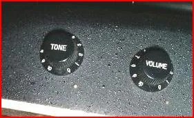 Celebrity 2 Knobs