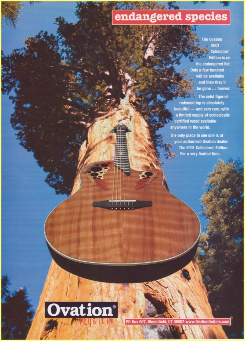 2001 Collector Ad