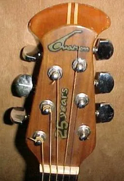 1991 collector's headstock