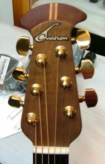 1995 Collector's head