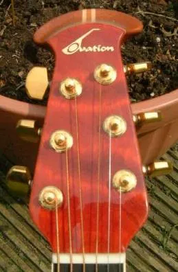 1999 Collector's head