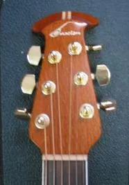 2000 collector's headstock